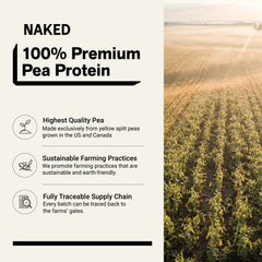 Vanilla Pea Protein Powder | Naked Vanilla Pea - 5LB
